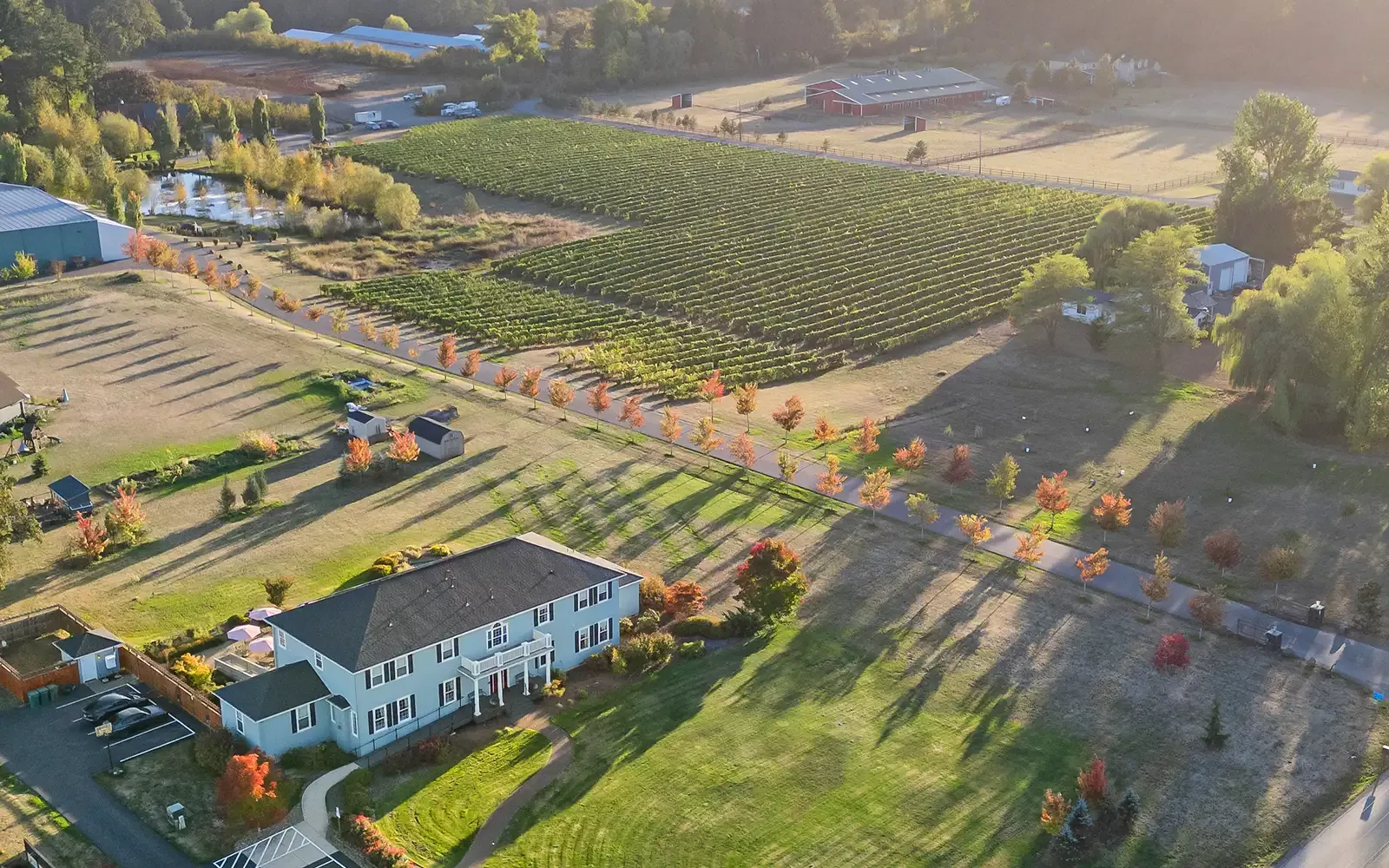 Drone View of B&B Exterior